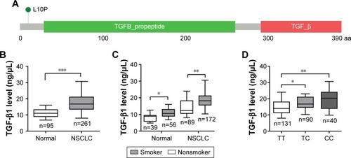 Figure 1 TGFB1 T869C polymorphism contributes to elevated serum TGF-β1 level in NSCLC.