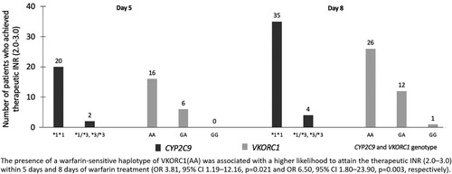 Figure 5. CYP2C9 and VKORC1 genotyping and the achievement of therapeutic PT-INR (2.0–3.0) within 5 and 8 days after the initiation of warfarin therapy.