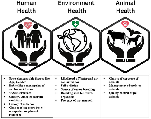 Figure 2 Proposed future perspectives of the One Health Risk Assessment tool.