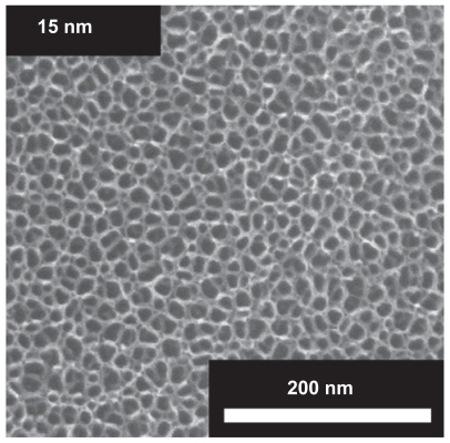 Figure 1 Electron microscope images of the surfaces of vertically aligned TiO2 nanotubes of 15 nm diameter. The inner and outer diameter of a small diameter nanotube are approximately 10 and 15 nm.