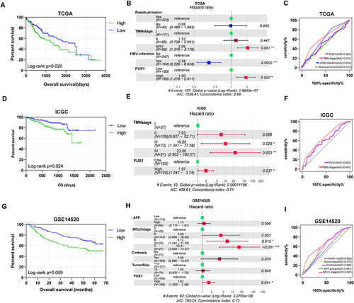 Figure 3 Prognostic OS analysis of PUS1. (A, D and G) Kaplan-Meier plots of PUS1 in TCGA, ICGC, and GSE14520 cohorts. (B, E and H) Forest plots for cox proportional hazards regression model of PUS1 in TCGA, ICGC, and GSE14520 cohorts. (C, F and I) Prognostic receiver operator curves of PUS1 and significant clinical characteristics TCGA, ICGC, and GSE14520 cohorts. *p<0.05, **p<0.01, ***p<0.001.