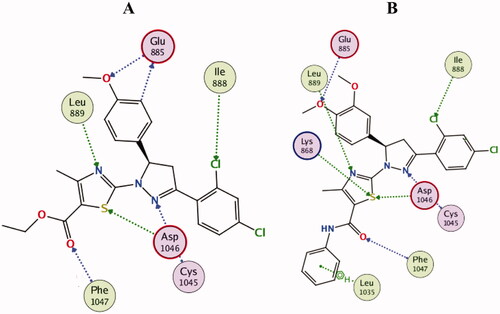 Figure 13. 2D diagram of compounds 10b (A) and 10d (B) showing their binding interaction with the VEGFR-2 active site (PDB: 4ASD).