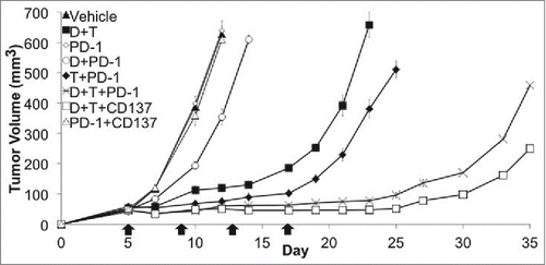 Figure 1. Enhanced in vivo antitumor activity with dabrafenib (D) + trametinib (T) combined with PD-1 checkpoint blockade against SM1 tumors. In vivo tumor growth curves. SM1 bearing C57BL/6 mice were treated when tumors were 3–5 mm with D 30 mg/kg and T 0.15 mg/kg combination via oral gavage daily, 4 doses of 200 μg of anti-PD-1 (PD-1), D + PD-1, T + PD-1, D + T + PD-1, D + T + anti-CD137 (CD137), PD-1 + CD137 or vehicle + isotype control Ab (4 mice in each group). This is representative graph of a three times repetition of this experiment.