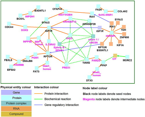 Figure 3. Induced Network Module Analysis for genes mapped to differentially methylated CpG sites (ConsensusPathDB).