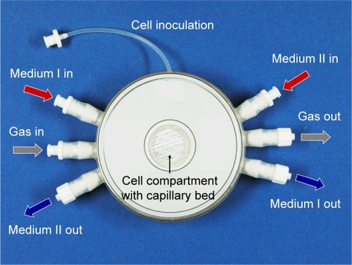 Figure 2 3-D bioreactor.