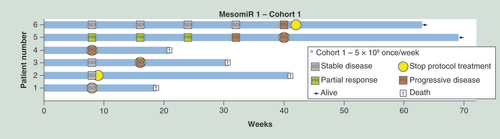 Figure 1.  Swimmers plot of the first six patients treated with TargomiRs.