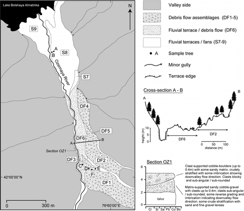 Figure 2 Geomorphological map of the Ozernaya valley study reach showing major landform-sediment assemblages and selected trees used for dendrochronological analyses. Also shown is Transect T1–T2 and the location and sediment log for cut-bank section OZ1.