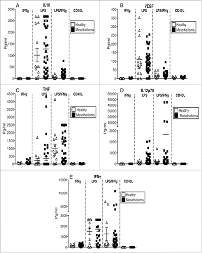 Figure 7. MoDCs from mesothelioma patients secrete the same or higher levels of cytokines in response to stimulation. Culture media from LPS+/-IFNγ or CD40L-stimulated MoDCs from mesothelioma patients and healthy age-matched controls were analyzed by CBA for cytokine production. Pooled data for IL-10 (a), VEGF (b), TNF (c), IL12p70 (d) and IFNγ (e) secreted by MoDCs from mesothelioma patients (n = 45) and age-matched controls (n = 14) is shown as mean ± SE.