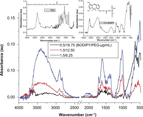 Figure 7 Fourier transform infrared spectra for samples of gold nanoparticles conjugated with BODIPY®-PEG with left and right inset spectra of pure PEG and BODIPY, respectively.Abbreviation: PEG, poly(ethylene glycol).