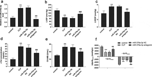 Figure 3. Effects of miR-378a-3p on cardiac function in sepsis rat models. (a) Serum miR-378a-3p expression in different groups of rat models. Changes of (b) LVSP, (c) LVEDP, (d) cTnI, (e) CK-MB and (f) ± dp/dtmax in experimental groups