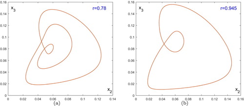 Figure 8. Projection on the x2x3 plane of the invariant circles. (a) 3-quasiperiodic curve; (b) an invariant circle.