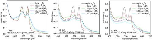 Figure 5.  Absorbance spectra of hemoglobin (10µM) in PolyHb following H2O2 addition of 10, 100, 500, and 1000 µM.