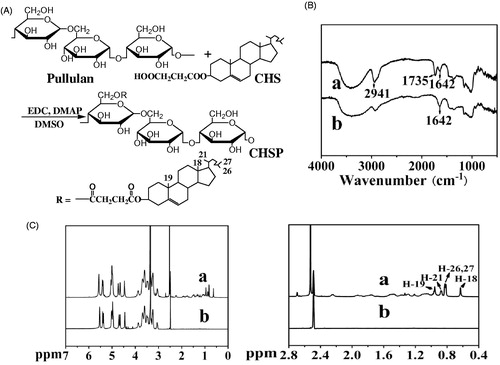 Figure 1. Synthesis route of CHSP (A) and FT IR (B)/1H NMR (C) spectra of CHSP (a), pullulan (b).