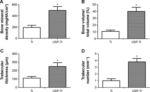 Figure 11 Quantitative results of the Micro-CT evaluation.Notes: Bone mineral density (A), bone volume fraction (B), trabecular thickness (C), trabecular number (D). Data are shown as the mean ± SD. *P<0.05 compared with Ti.Abbreviations: USP-Ti, Ti surface subjected to USP; USP, ultrasonic shot peening; SD, standard deviation; Ti, titanium.