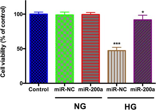 Figure 4 The cellular viability in normal glucose (NG) and high glucose (HG) group after treatment with miR-200a was assessed. miR-200a improved cellular viability in HG group. *P<0.05, ***P<0.001. n = 5.