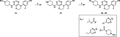 Scheme 3. Synthesis of compounds 22–25. Reagents and conditions: (a) 3 M HCl in EtOH, r. t., overnight. (b) chloro-fragments, Et3N, DCM, r. t., overnight or Cs2CO3, DMF, r. t., overnight.