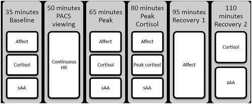 Figure 1. Flow of visit. The figure represents the time points at which different measures of stress response were assessed throughout the laboratory visit. sAA: alpha amylase; HR: heart rate.