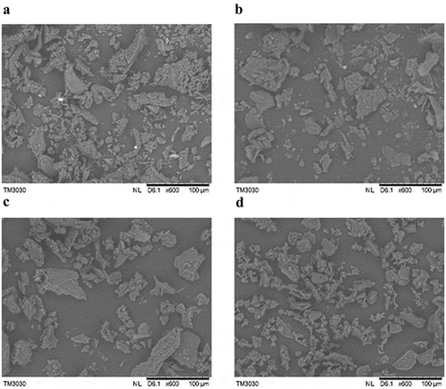 Figure 1. SEM images of various particle sizes of downy rose-myrtle powders at 600 × magnification. (A) CP180; (B) CP120; (C) CP96; (D) superfine powder