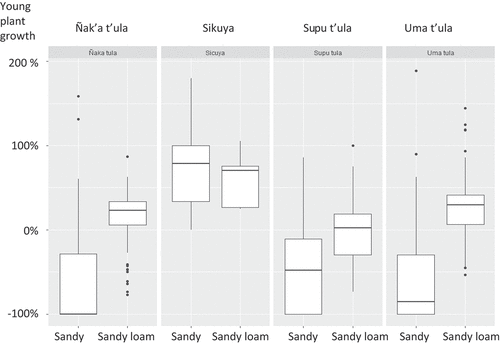 Figure 4. Percentage of young plant growth in live barriers by soil type.