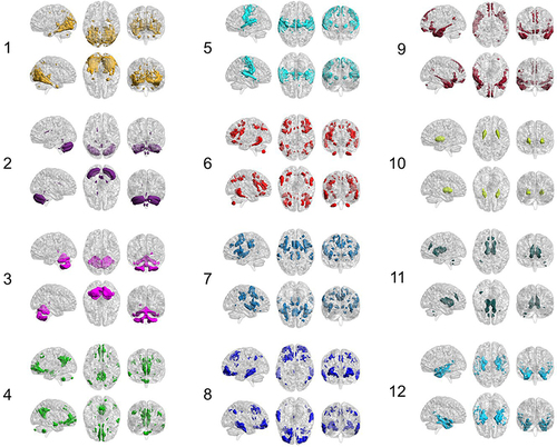 Figure 3 Spatial layout of 12 identified GM functional networks. 1: visual network; 2: posterior cerebellar network; 3: anterior cerebellar network; 4: default mode network A; 5: sensorimotor network; 6: control network A; 7: ventral attention network; 8: control network B; 9: default mode network B; 10: putamen–pallidum network; 11: thalamus–caudate network; 12: limbic–temporal network.