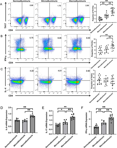 Figure 2 Representative FACS dot-plots were used for the quantification of T cell subpopulations and qPCR for the quantification of inflammatory factor mRNA expressions. PBMCs were stained with anti-CD4-PerCP-Cy5-5, anti-IFN-γ-FITC, IL-17A-PE, and anti-IL-4-PE antibodies (n = 15 in each group). (A) Th17 cells were defined as CD4+IL-17A+ cells in the three groups; the average fractions of Th17 cells are shown in the right panels. (B) Th1 cells were defined as CD4+IFN-γ+ cells in the three groups, the average fractions of Th1 cells are shown in the right panels. (C) Th2 cells were defined as CD4+IL4+ cells in the three groups, the average fractions of Th2 cells are shown in the right panels. The IL-6 (D), IL-17 (E), and IFN-γ (F) mRNA expressions in PBMCs of the three groups are shown (n = 8 in each group). *p< 0.05; **p < 0.01.