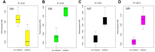 Figure 5 Box plot showing the differentially expressed modules M4 (A), M5 (B), M7 (C), and M9 (D) in malignant hepatocytes compared to non-malignant hepatocytes in the human liver.