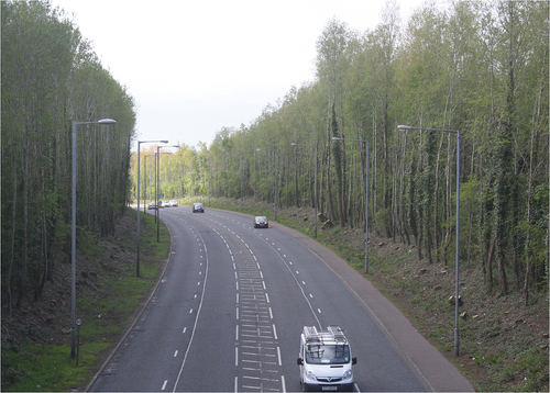 Figure 3. Dual-carriageway separating Catholic housing at Twinbrook from Protestant housing at Areema.