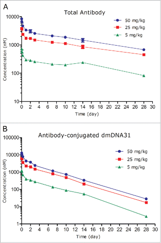 Figure 5. Plasma concentration-time profiles of TAC total antibody (TAb) (A) and antibody-conjugated dmDNA31 (ac-dmDNA31) (B) following IV administration of TAC in non-infected mice.