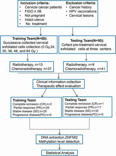 Figure 1. Study design and patient cohort for this study.