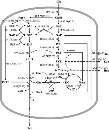 Figure 6 Changes of L-tryptophan metabolic flow in Escherichia coli before and after the addition of methyl donor