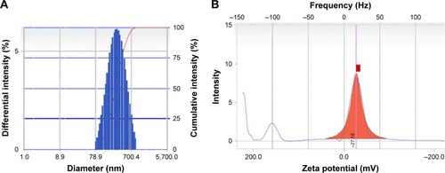 Figure 2 Spectra of particle size distribution (A) and zeta potential (B) for MWCNT-FMN.