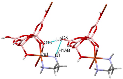 Figure 4. The unusual R22(6) interaction involving the amino hydrogen of the en ligand in a neighboring polymer chain.
