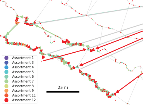Figure 12. Example of a general view of optimized routes for a given region of the harvest site when minimizing total traveled distance. The arrows denote the order in which piles are picked up, with the color of the arrow indicating the assortment of the destination pile at each step along the route. Each transition between nodes (e.g., from the unloading node to the first node to be visited, i.e., pile to be loaded) is done along the shortest path on the strip road network. The long arrows denote transitions between the unloading node and the loading nodes.