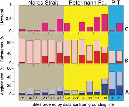Figure 6. Histograms showing the percentages of (a) agglutinated foraminifera, (b) calcareous foraminifera, and (c) the proportion of living (stained) foraminifera from the fourteen sites arranged by distance from the Petermann Glacier grounding line; color blocks as defined in Figure 5. Darker colors in (a) and (b) represent the living component and lighter colors represent the dead (unstained empty test) component of the total calcareous and agglutinated benthic foraminifera. PIT = Petermann Ice Tongue. Site locations shown in Figure 1b