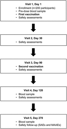 Figure 2. Trial visits schematic. Abbreviations: MAAEs, medically attended adverse events; SAEs, serious adverse events. Safety assessments were as follows: solicited local events (recorded up to 30 minutes, and up to 7 days after each TAK-003 dose), solicited systemic events (recorded up to 30 minutes, and up to 14 days after each TAK-003 dose), unsolicited events (recorded up to 28 days after each TAK-003 dose), and MAAEs and SAEs recorded for the entire duration of trial. Solicited local AEs comprised injection site pain, injection site erythema, and injection site swelling. Solicited systemic AEs comprised asthenia, headache, malaise, myalgia, and fever. MAAEs were defined as AEs leading to an unscheduled visit to, or by, a healthcare professional including visits to an emergency department, but not fulfilling seriousness criteria.