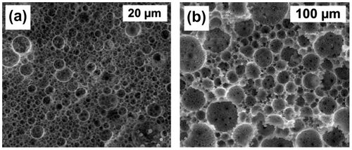 Figure 1. SEM images; influence of initiator: (a) I1 – APS/TEMED and (b) I2 – AIBN; at 80% pore volume.