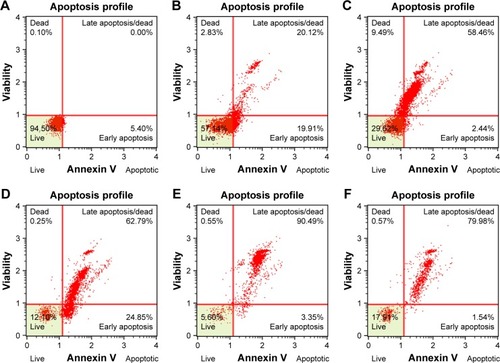 Figure 5 Cell apoptosis was analyzed by FACS.Notes: (A) Untreated, (B) CPT-11, (C) L-P/siRNA, (D) L-SN38/P/siRNA, (E) Tf-L-SN38/P/siRNA, (F) Tf-L-SN38.Abbreviations: FACS, fluorescence-activated cell sorter; CPT-11, irinotecan.