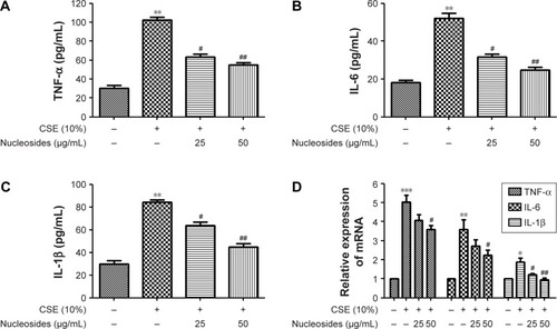 Figure 3 Effects of the nucleosides on CSE-induced TNF-α, IL-6, and IL-1β expression in RAW264.7 cells.