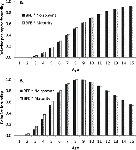 FIGURE 7. Trends in (A) relative per-capita fecundity at age (years) and (B) relative population fecundity at age (combined fecundity of all members in the age-class) in Red Snapper when the calculated number of spawns per female per year is used (solid bars) compared with the trends when spawning frequency is assumed to be proportional to maturity (open bars). The label “BFE * No. Spawns” refers to the calculation where age-specific estimates of batch fecundity are multiplied by age-specific estimates of the number of spawns per year. Similarly, the label “BFE * Maturity” refers to the calculation where age-specific estimates of batch fecundity are multiplied by age-specific estimates of maturity. The relative (population) fecundity is obtained by multiplying the per-capita fecundity at age by the relative abundance of each age-class at the equilibrium level associated with fishing at the maximum sustainable yield.