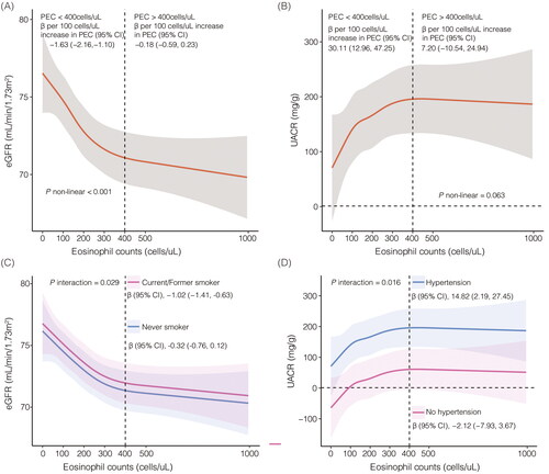 Figure 2. Restricted cubic spline curve for the association between eosinophils, albuminuria and estimated glomerular filtration rate. eGFR: estimated glomerular filtration rate; UACR: urinary albumin to creatinine ratio. A, eosinophils and eGFR in model 3; B, eosinophils and UACR in model 3; C, subgroup analysis for eosinophils and eGFR stratified by smoking status in model 3; D, subgroup analysis for eosinophils and UACR stratified by hypertension in model 3. Model 3 was adjusted for age (continuous), sex (male or female), race/ethnicity, BMI (<25, 25 ∼ 29.9, and 30 kg/m2), WBC (continuous), smoking behavior (former, current, or never smoker), hypertension (yes or no), diabetes (yes or no), asthma (yes or no), and UACR (≥ 30 or <30 mg/g) or eGFR (≥ 60 or <60mL/min/1.73m2), and NHANES cycles (1999–2000, 2001–2002, 2003–2004, 2005-2006, 2007-2008, 2009-2010, 2011–2012, 2013–2014, 2015-2016, 2017-2018).