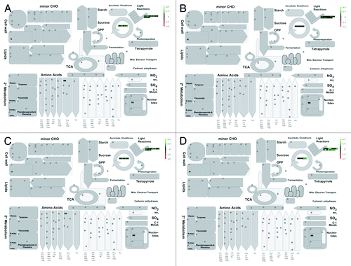 Figure 4. Differential expression of genes (log-scale) under drought treatment in two tissues at two different time points involved in flax metabolism grouped into different bins. Green indicates downregulated genes; red indicates upregulated genes. (A) Four day stressed shoot. (B) Four day stressed root. (C) Five day stressed shoot. (D) Five day stressed root.