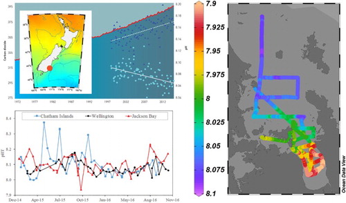 Figure 3. A, Time series of atmospheric CO2 at Baring Head (North Island) (red line, Brailsford et al. Citation2012), and surface water pCO2 (dark blue triangles) and pH (light blue circles) at the Subantarctic water station (location identified in inset map) on the Munida transect (K. Currie, pers. comm.); B, pH time series at three coastal stations; Chatham Islands (blue squares and line) Wellington (black circles and line); Jackson Bay (red triangles and line) in the NZOA-ON; C, surface water pH in the Firth of Thames, Hauraki Gulf, and inner continental shelf on 9–12 March 2010. Figure created using Ocean Data View (Schlitzer, R., Ocean Data View, odv.awi.de)