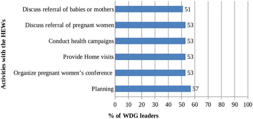 Figure 3. Activities undertaken in the last three months by Women’s Development Group leaders together with Health Extension Workers.