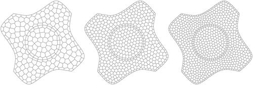 Figure 13. Three of the polygonal meshes used to solve EquationEquation (6.3)(6.3) ϕ̂1=ϕ̂2=(x+ cos (y))(y− sin (x)).(6.3) .