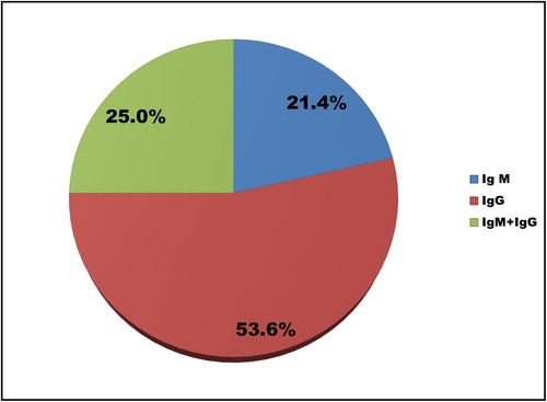 Figure 1. Serological pattern of the tested outpatients.