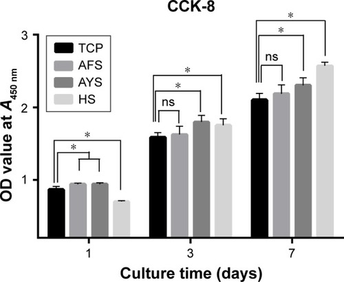 Figure 5 BMSCs’ proliferation on different scaffolds by CCK-8 assay.Notes: Results of BMSCs cultured on the AFS, AYS, and HS for up to 7 days. The data are expressed as the mean ± SD. *P<0.05, a statistically significant difference between groups; ns, P>0.05, no significant difference between the two groups (n=3).Abbreviations: AFS, aligned nanofiber scaffolds; AYS, aligned nanoyarn scaffolds; BMSCs, bone marrow-derived mesenchymal stem cells; CCK-8, cell counting kit-8; HS, hybrid scaffold; TCP, tissue culture plate; SD, standard deviation.