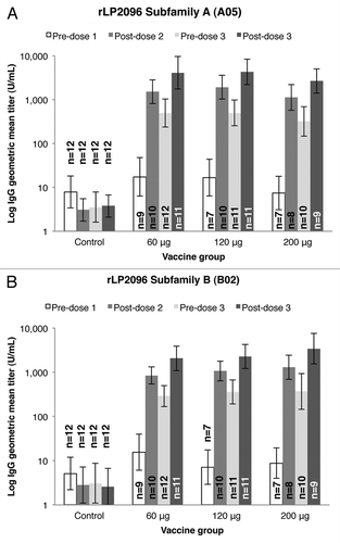 Figure 2. Immunoglobulin G (IgG) geometric mean titers (GMT) specific for LP2086 A and B subfamilies. Anti-rLP2086 IgG antibody binding to the rLP2086 subfamily A (panel A) and subfamily B (panel B) proteins after immunization at three dose levels of rLP2086 or control is shown. GMTs are plotted on a logarithmic scale and shown with 95% confidence intervals (CI). n = Number of subjects with available data.