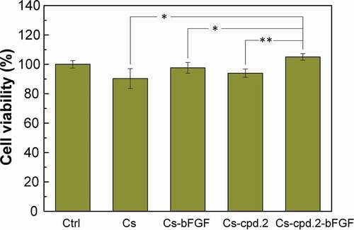 Figure 6. Cytotoxicity of Cs, Cs-cpd.2, and bFGF to CG1639.