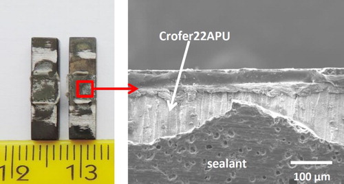 7 Fracture surfaces of cross-bonded joined samples after ISO 13124 test
