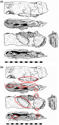 fig 8 Drawing of the sword and assemblage (a), with, annotated version below (b). Numbering refers to descriptive entries in Appendix 1 below. Grey shading indicates mineralisation mixed with iron corrosion. Drawing by Rob Collins.